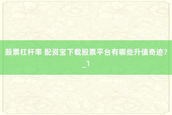股票杠杆率 配资宝下载股票平台有哪些升值奇迹?_1