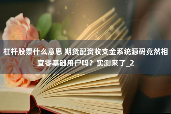 杠杆股票什么意思 期货配资收支金系统源码竟然相宜零基础用户吗？实测来了_2